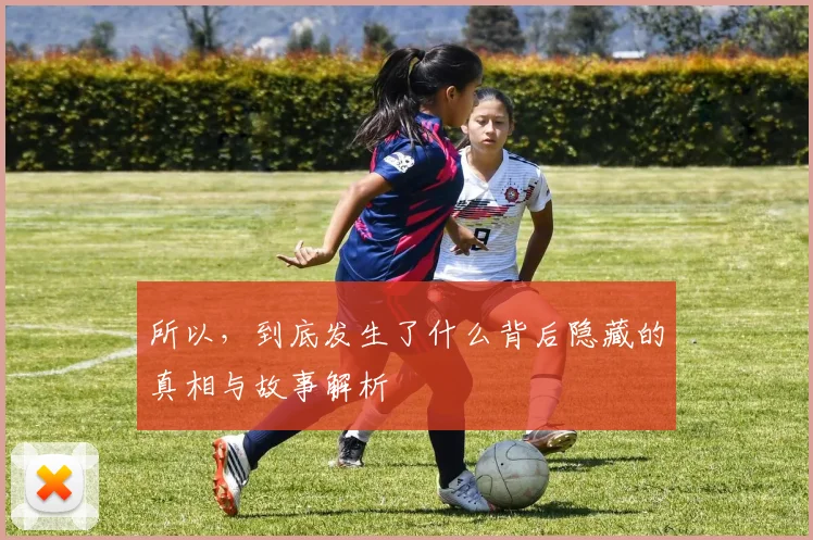 所以，到底发生了什么背后隐藏的真相与故事解析