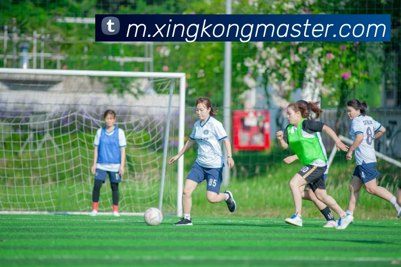 多媒体互动体验